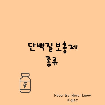 단백질 보충제 종류 네이버 블로그 대표 이미지