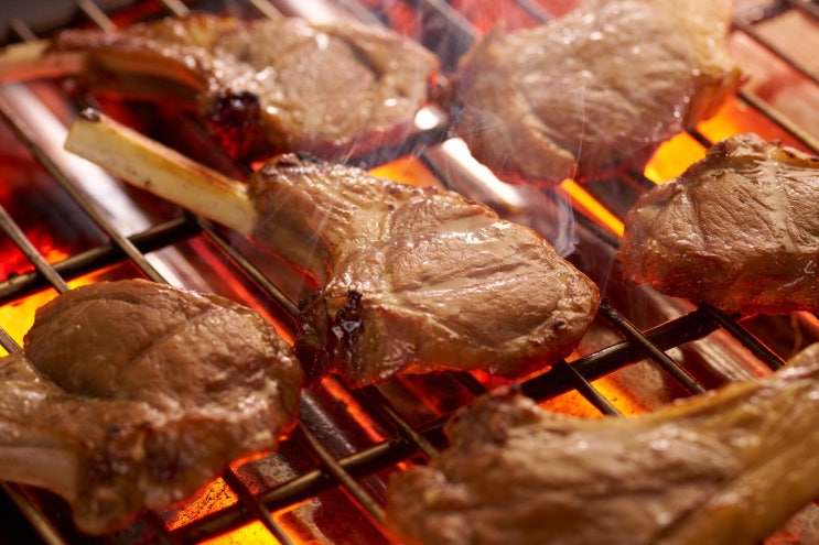삿포로 징기스칸 맛집 마츠오 징기스칸 패키지 비추천 이유와 합리....