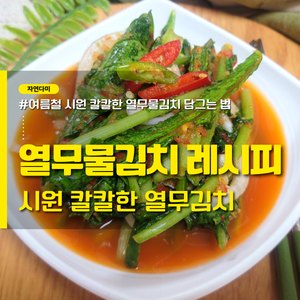 열무김치 열무물김치 담그는법, 시원 칼칼한 물김치 레시피 양념