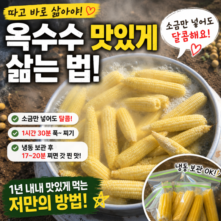 옥수수 맛있게 삶는 법! 소금만 넣어도 달콤한 이유 (+냉동 보관·다시 찌는 방법)