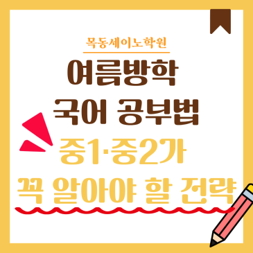 양천구국어학원 목동세이노의 여름방학 국어공부법 RSS 대표 이미지