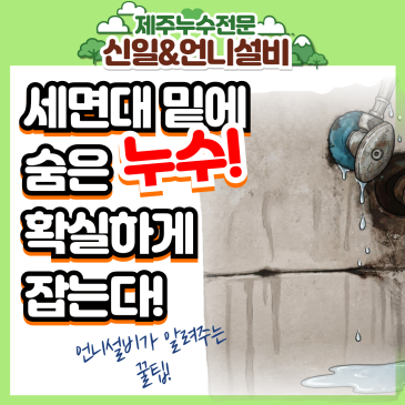 제주시용담동, 세면대 밑 숨은 범인? 제주도누수 현장에서 찾은 기막힌 아랫집 천장 물바다 원인과 특급 해결책!