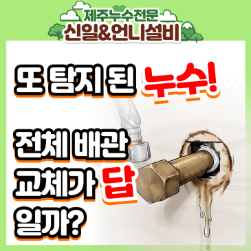 제주시내도동 다발성 제주누수,부분수리로도 확실히 잡는다!