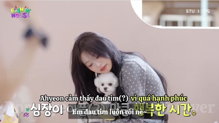 베이비몬스터 - 아현 처음으로 강아지가 와서 가슴에 안기는...