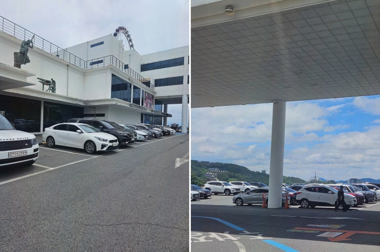 여수게장정다운식당 본점 여수간장게장맛집, 퇴근 모임 필승