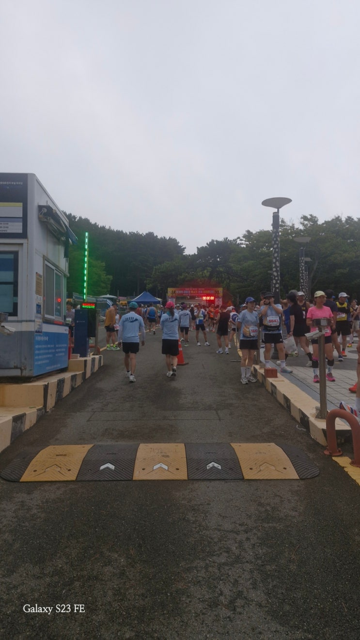 제16회 태종대 전국 혹서기 마라톤