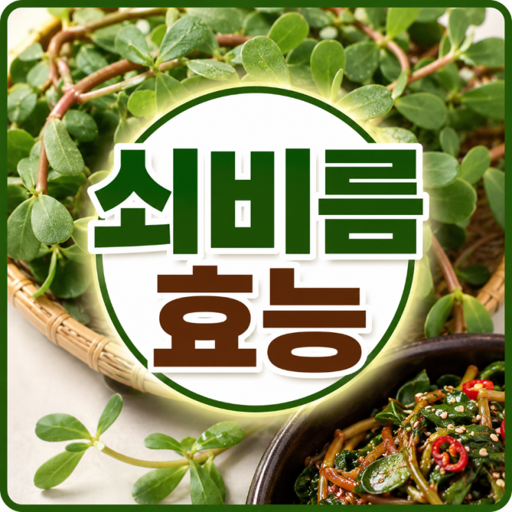 쇠비름 효능, 몸에 좋은 이유부터 먹는법까지 총정리