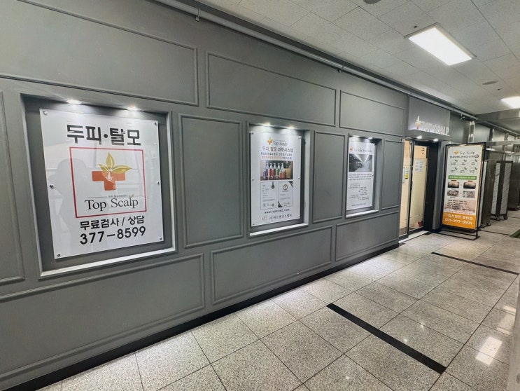탑스칼프 동탄점 후기, 동탄두피관리에서 천연 식물성까지
