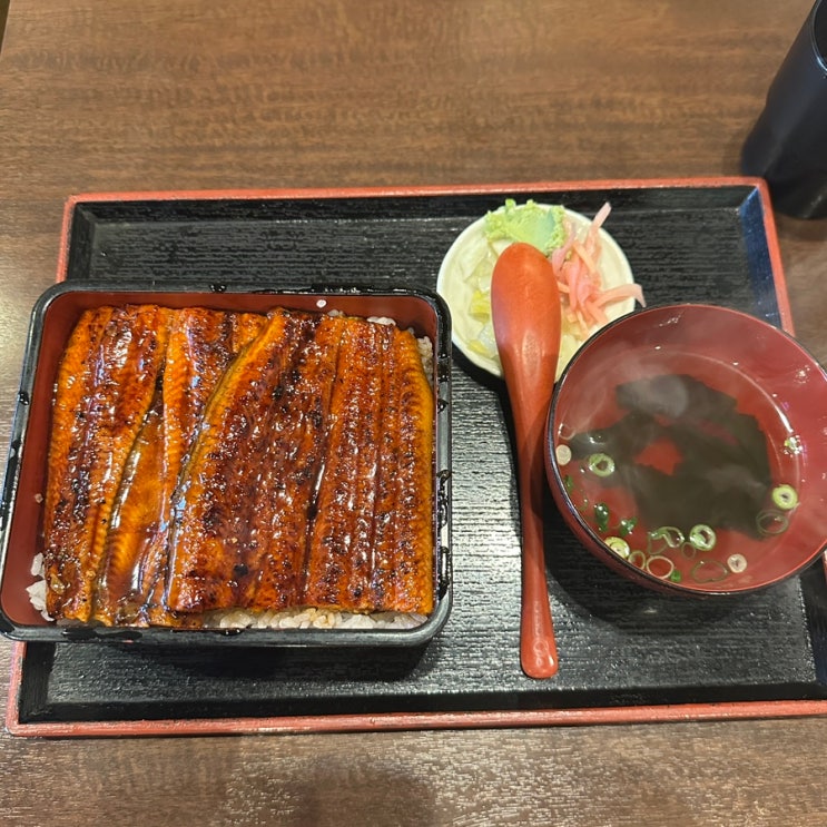 [오사카 장어덮밥 맛집] 니혼바시 마루에이