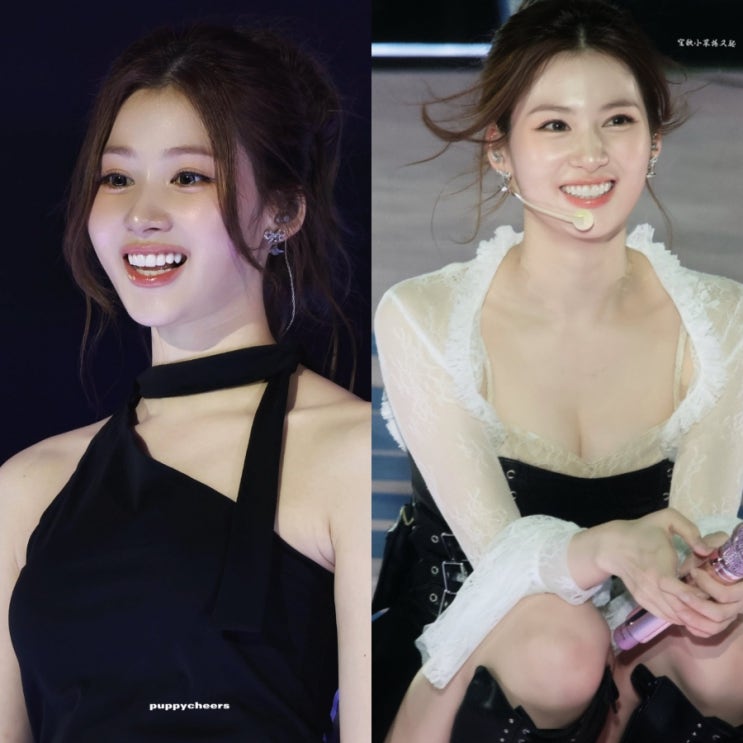 "이 조합 반칙이지" 트와이스 사나 긴머리반묶음 헤어에...