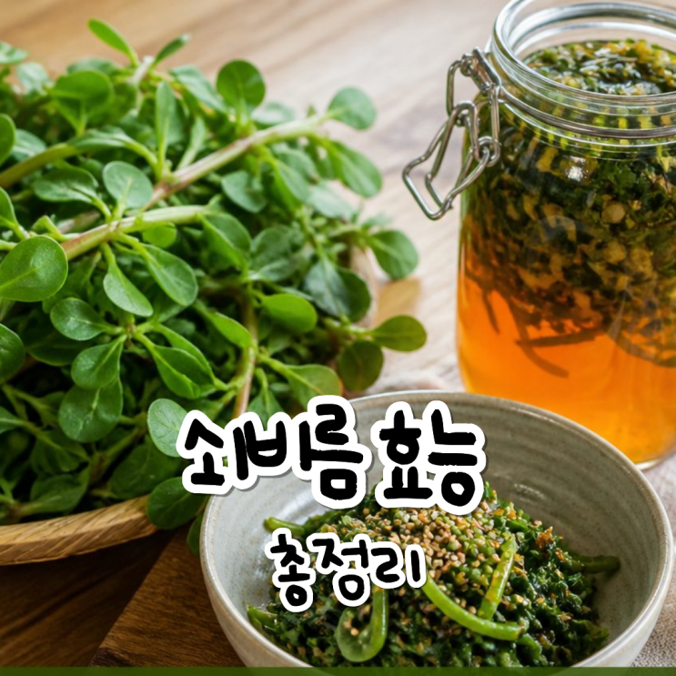 쇠비름효능 먹는방법 부작용까지 한눈에 정리