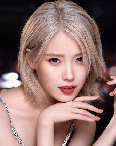 국경 넘은 악플러 추적…아이유 소속사의 美 법원 사법 절차...