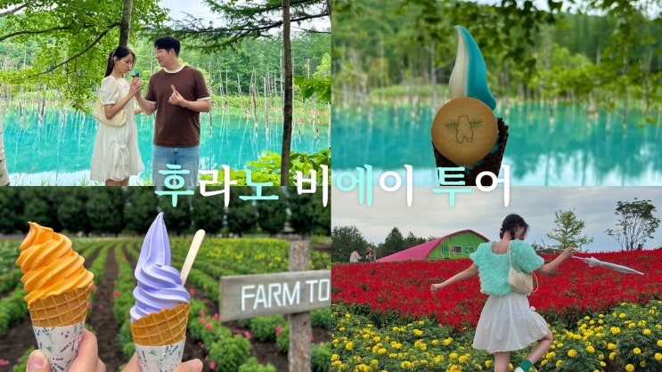 후라노 비에이 투어 후기｜도미타농장·시키사이노오카·청의호수 ....
