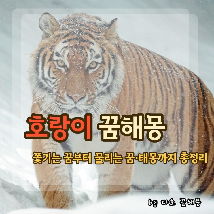 호랑이 꿈 해몽 총정리｜호랑이에게 쫓기거나 물리는 꿈, 집에 들어오는 꿈의 의미