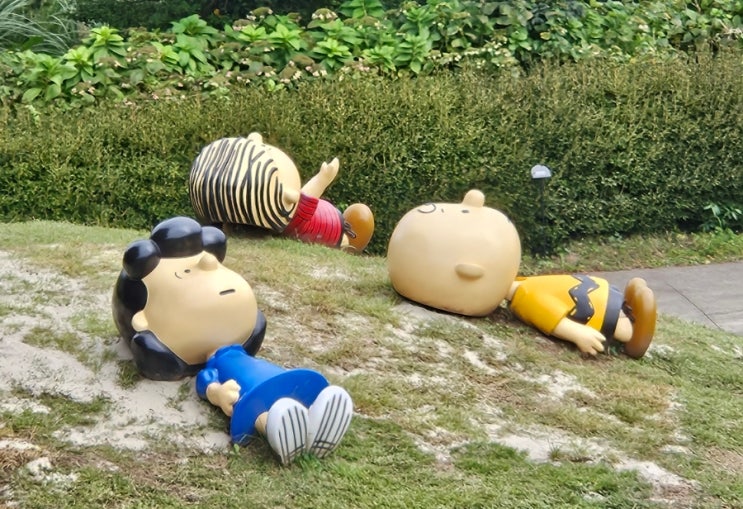 [제주도] 25년 10월 중순 제주여행 ② 스누피가든_포토존, 소요시간 (f....