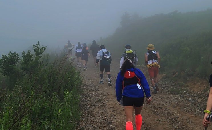 Scenery of the Spindle Trail Run(20km) #8