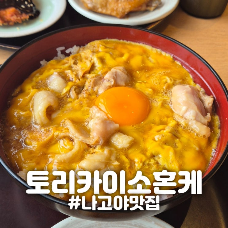 [일본/나고야] "토리카이소혼케" 라시크 오야코동 나고야 맛집 추천