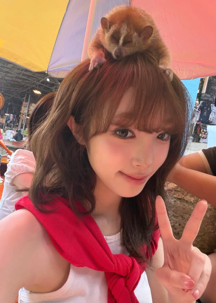 최예나 YENA '캐치 캐치' 노래 가사 뮤직비디오 감상 K팝 여름 앨범 탐구