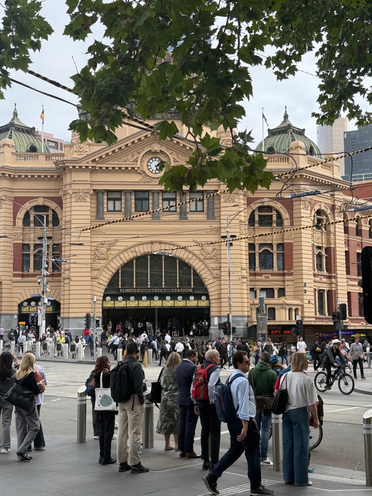 Melbourne(4)- 피츠로이 가든, 파타고니아 아울렛, 소품샵 추천,  듁스커....