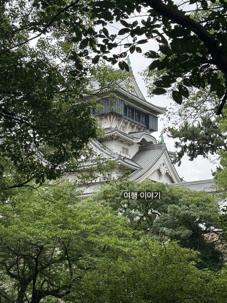 기타큐슈 가볼만 한곳 고쿠라성보다 주변이 더 이쁘다 야사카신사