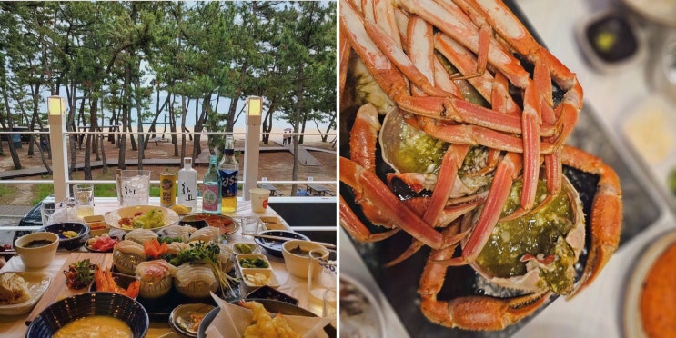 강릉맛집 경포동해횟집, 오션뷰 데이트에 대게+활어회 코스 완벽