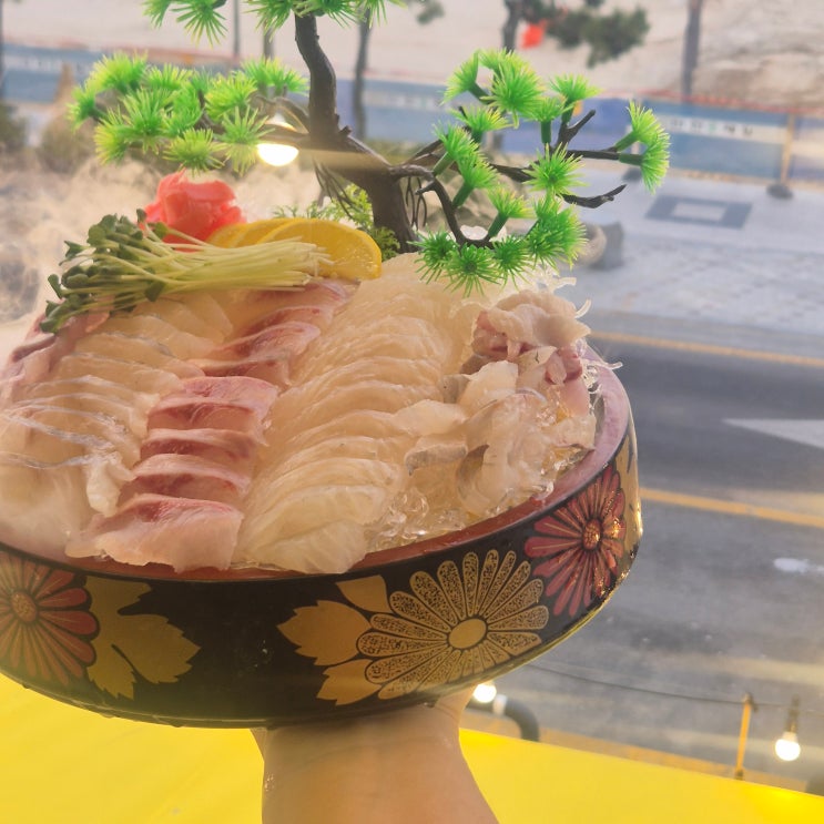 일산지 횟집으로 추천해요, 신선한 모듬회 맛집 살아있네 일산점 재방문 후기