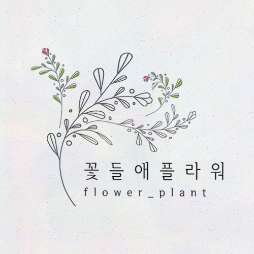 꽃들애 원예키트, 아이와 힐링원예로 여름 감성 만들기