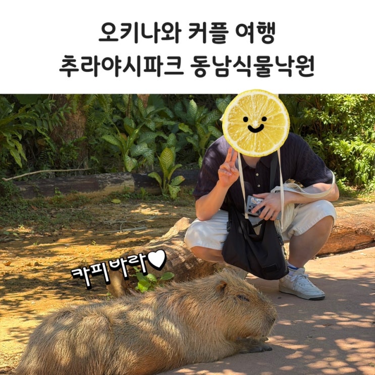 오키나와 동남식물낙원 커플여행 후기 카피바라 보기 전 필수 꿀팁