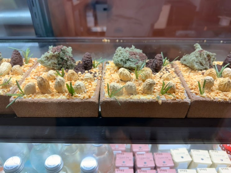 제주 한담해변 카페 청수당 후기, 대나무 숲과 연못이 있는 감성 카....