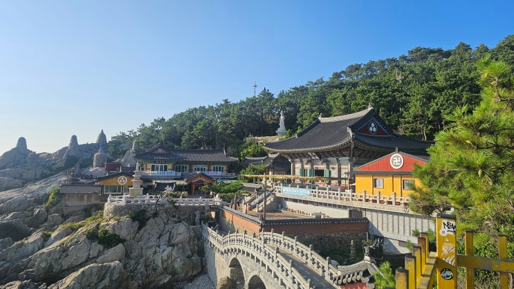 부산 해동용궁사 바다 절경 따라 천천히 걸어본 힐링 여행 후기