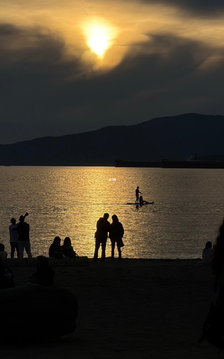 캐나다 3일차 - Grandville island, stanley park (english bay,prospect point lookout)