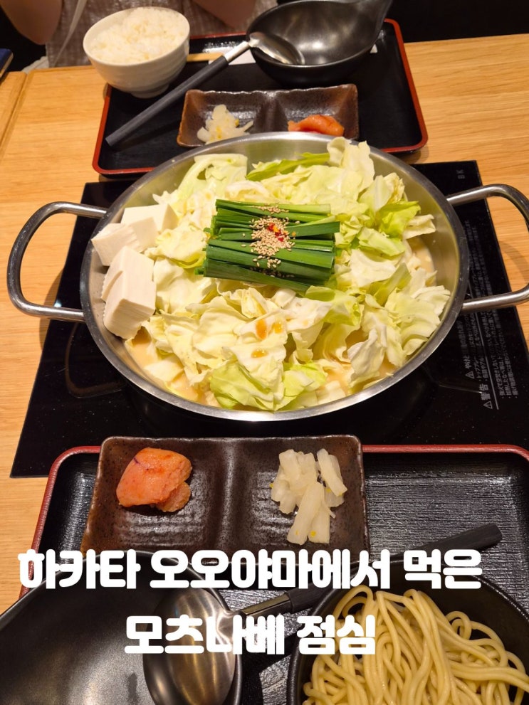 [후쿠오카 여행 18편] 후쿠오카 모츠나베 맛집 추천 / 하카타 모츠나....