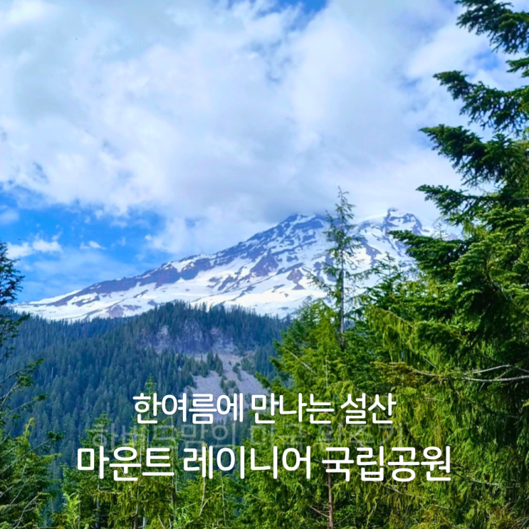 레이니어산 국립공원 파라다이스 만년설 시애틀 당일치기 드라이브....