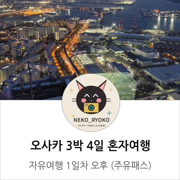 덴포잔 대관람차, 사키시마 코스모타워 야경과 차완무시(계란찜) 라....