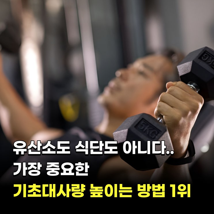 "유산소도 식단도 아니다.." 가장 중요한 기초대사량 높이는 방법 1위