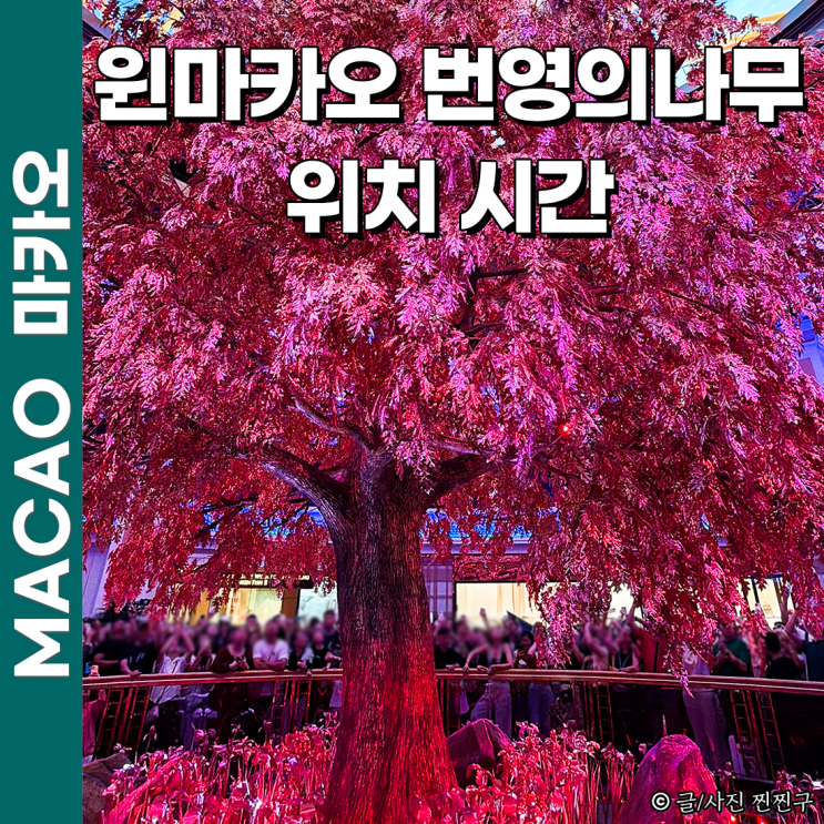 마카오호텔 윈 마카오 번영의 나무 위치 시간 투어 구경 후기
