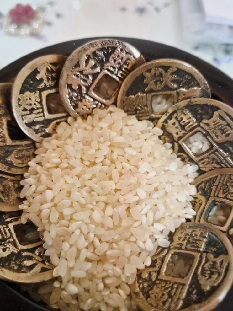 부산점집, 신명당에서 조용히 마음 정리한 후기