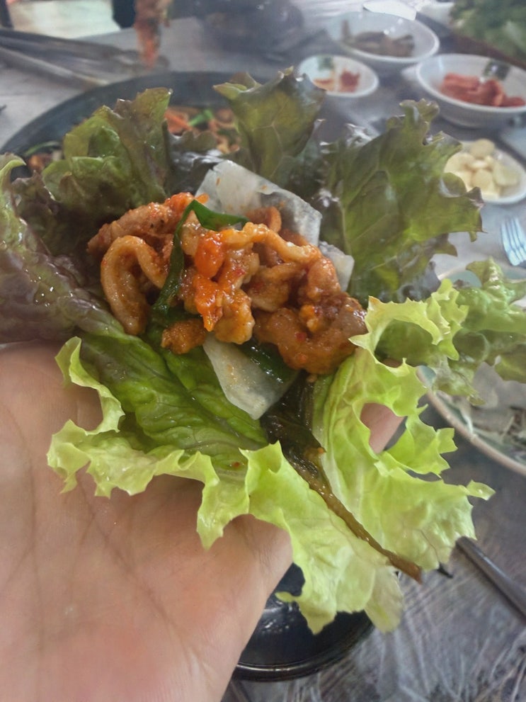 [거제보양식] 솔직후기! 탁오네, 사장님 직접구이로 편하게 먹는 오리불고기