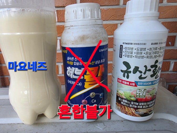 링크 미리보기