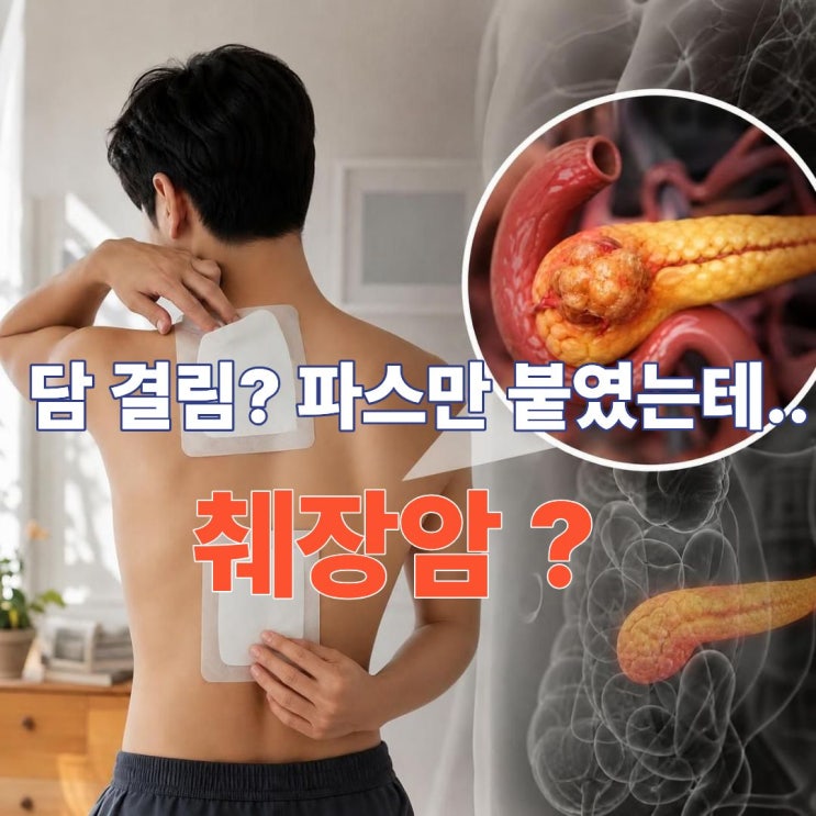 췌장 위치와 통증 부위 총정리! 30대 아빠 파스만 붙였는데 췌장암? 췌장염·췌장암 초기 증상....