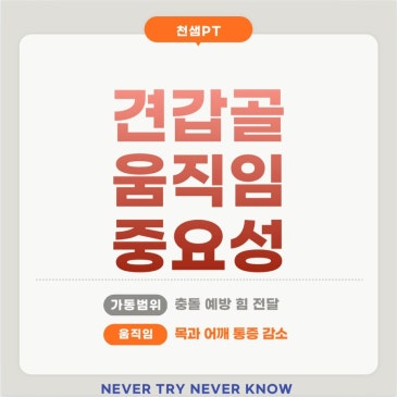 견갑골 움직임의 중요성 네이버 블로그 대표 이미지