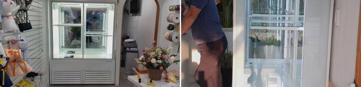 쇼케이스진열장, 한성 쇼케이스에서 시작하는 모던·고급 냉장 솔루션