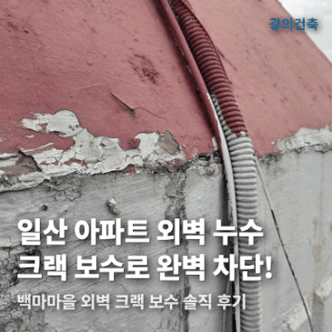 일산 아파트 외벽 크랙 보수, 코킹으로 누수 차단 시공 사례