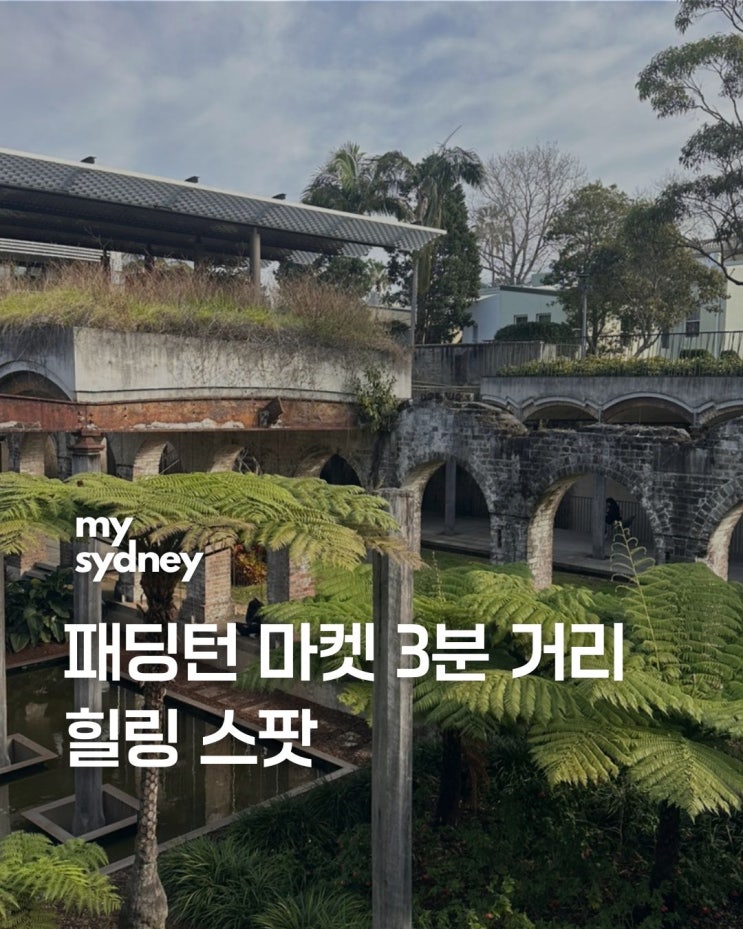 시드니 패딩턴 마켓 근처 가볼만한 곳｜패딩턴 리저뷰어 가든