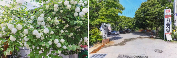 (원조신촌식당) 청송닭불백숙, 여행 부부가 편해지는 한상