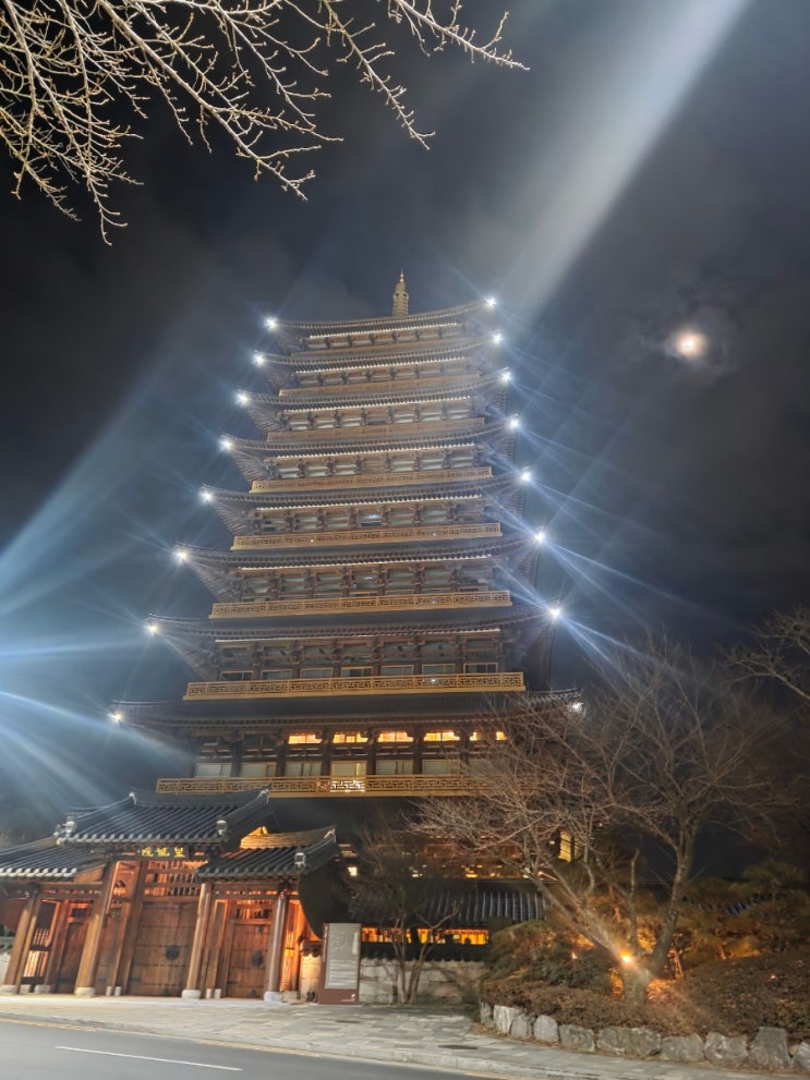 지난 겨울여행지, 경주 보문관광단지 호수 야경 & 수변 카페 아덴 #....