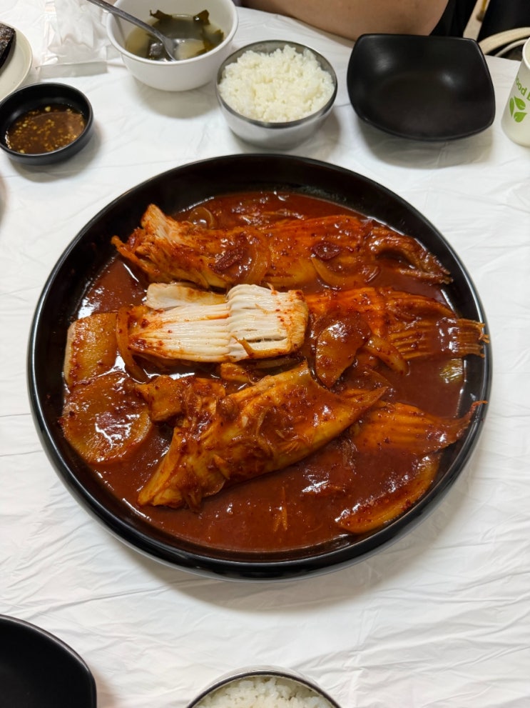 속초 강릉 여름휴가 (서울양계닭강정, 속초중앙상회, 강원도막걸리....