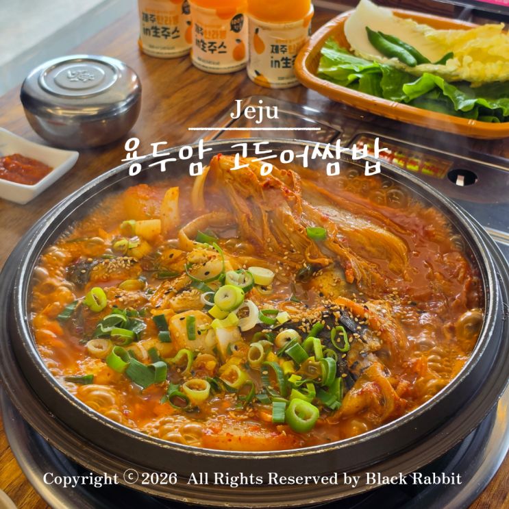 제주도 가볼만한곳 제주 용두암 고등어쌈밥 후기