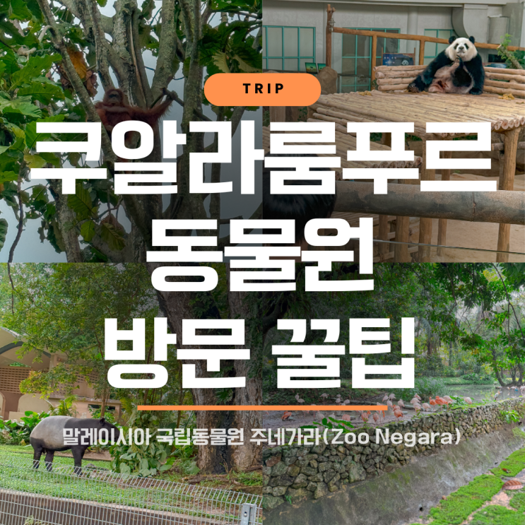 말레이시아 쿠알라룸푸르 국립동물원 "Zoo Negara" 방문 꿀팁