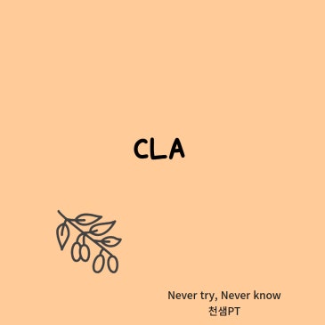 CLA 네이버 블로그 대표 이미지